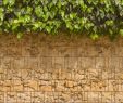 Steinmauer Garten Sichtschutz Luxus Efeu & Mauer Bedruckter Sichtschutzstreifen Doppelstab Zaun