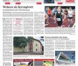 Strandkorb Im Garten Integrieren Schön Dz Online 028 13 H by Dreieich Zeitung Fenbach Journal issuu