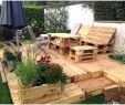 Stromverteiler Garten Luxus Winterharte Kübelpflanzen Als Sichtschutz — Temobardz Home Blog
