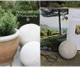 Tag Der Offenen Gärten Reizend Kleine Gärten Gestalten Reihenhaus — Temobardz Home Blog