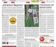 Tariflohn Garten Und Landschaftsbau Elegant Dz Online 024 13 B by Dreieich Zeitung Fenbach Journal issuu