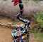 Tarot Garten toskana Reizend 184 Best Niki De Saint Phalle Images