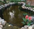 Teich Garten Luxus 42 Fish Pond Garden Designs with Water Fountain Concept