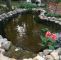 Teich Garten Luxus 42 Fish Pond Garden Designs with Water Fountain Concept