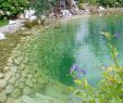 Teich Garten Luxus Wasserfälle Biotope Teiche Gartengestaltung