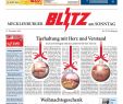 Thomas Philipps Onlineshop De Haus Und Garten Luxus Mecklenburger Blitz Vom 22 12 2019 by Blitzverlag issuu