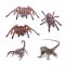 Tiere Im Garten Einzigartig Spinne Eidechse 3d Tier Emulation Lkw Anhänger Zimmer Fenster Tür Auto Aufkleber Decals