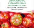 Tomaten Im Garten Elegant Fleischtomate Zürcher original Demeter Biosaatgut