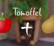Tomaten Im Garten Elegant Pin Auf Garten Videos Ideen & Tipps