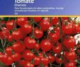 Tomaten Im Garten Genial tomate Cherrola F1 C