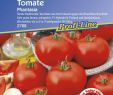 Tomaten Im Garten Schön tomaten Phantasia F1 T