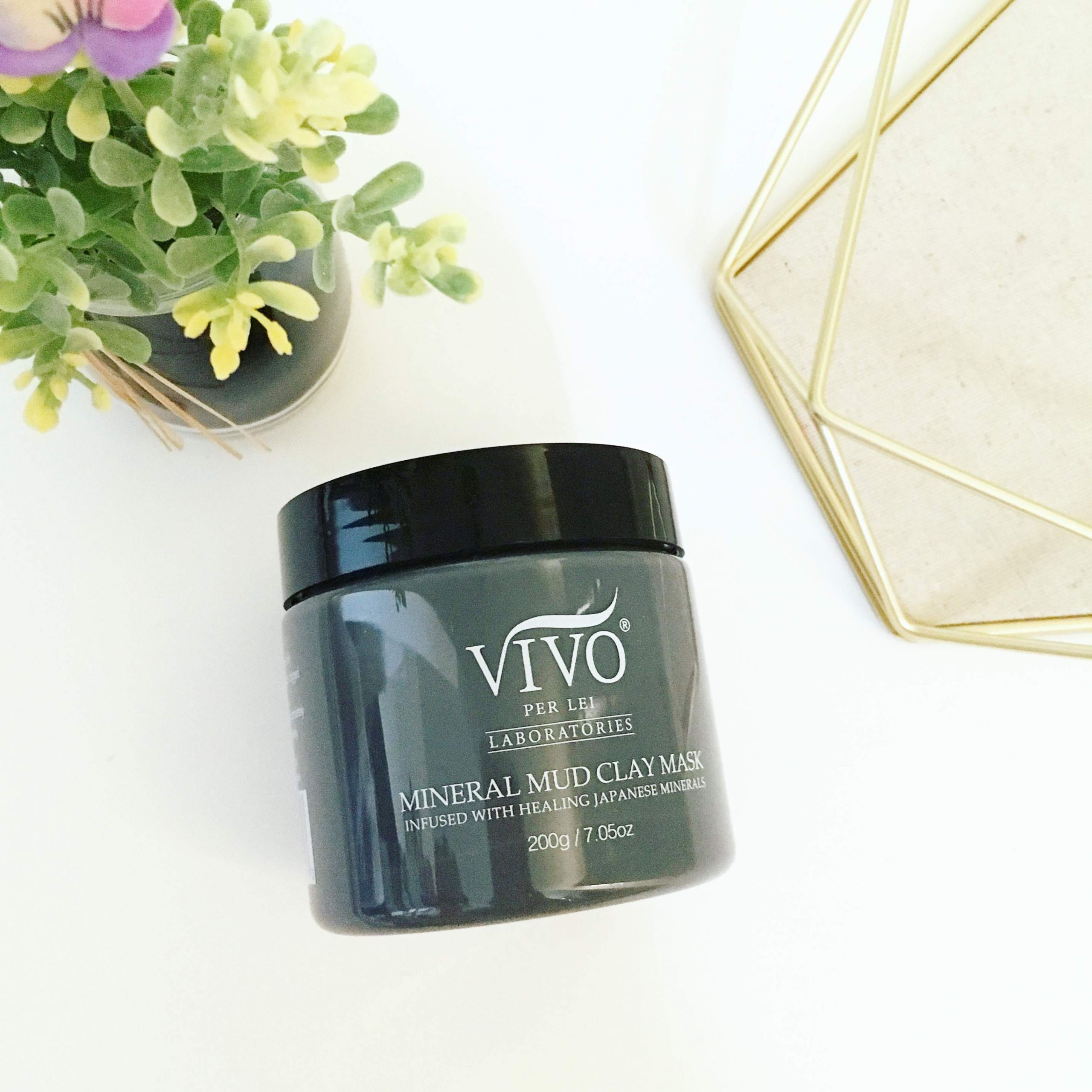 vivo per lei mineral mud clay mask product review tur unter treppe tur unter treppe