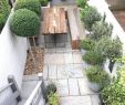 Trampolin Für Garten Luxus Grosse Pflanzen Für Innenräume — Temobardz Home Blog