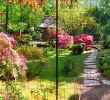 Tulpen Im Garten Luxus Natur Panorama Xl Bedruckte Sichtschutzstreifen Für Doppelstabmattenzaun