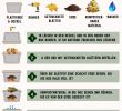 Vertikaler Garten Anleitung Das Beste Von Kompost Warum Jeder Gärtner Einen Eigenen Anlegen sollte