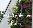 Vertikaler Garten Anleitung Einzigartig ð Bio Balkon Kongress 2019 ð