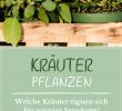 Vertikaler Garten Anleitung Schön Kräuter Pflanzen Anleitungen & Tipps Für Fensterbrett