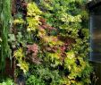 Vertikaler Garten Selber Machen Elegant 15 Beautiful Minimalist Vertical Garden for Your Home