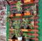 Vertikaler Garten Selber Machen Inspirierend Pin Von Ulis Garten Auf Home Wohnen