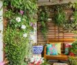 Vertikaler Garten Selber Machen Schön 40 Terrassengestaltung Bilder Erneuern Sie Ihre Terrasse