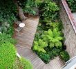 Verwilderter Garten Einzigartig Stefan Morael Tuinarchitect Brussel Paysagiste Bruxelles
