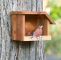 Vogel Garten Genial American Robin Cedar Bird House by Mltimbercrafts On Etsy