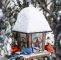 Vogelarten Im Garten Einzigartig Bird Feeder In Winter with Blue Jays and Cardinals