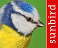 Vogelarten Im Garten Reizend Vogel Id sterreich Vögel Erkennen Und Bestimmen In Natur