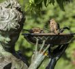 Vogeltränken Für Den Garten Das Beste Von Vogeltränke Für Garten Und Balkon Mein Schöner Garten