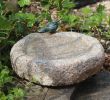 Vogeltränken Für Den Garten Neu Vogeltränke Granit Rund Naturform Mit Bronze Vogel