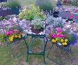 Wagenrad Deko Garten Luxus Alte Gartenstühle Und Beistelltisch Bepflanzt