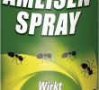 Was Hilft Gegen Ameisen Im Garten Neu Celaflor Ameisen Spray
