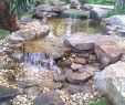 Wasser Garten Reizend Landscaping Ideas Yards Acreage Landscapingideas