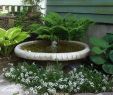 Wasser Im Garten Luxus Pin Von Liane Felter Auf Garten