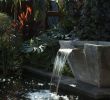 Wasser Im Garten Neu â· 1001 Ideen Und Gartenteich Bilder Für Ihren Traumgarten