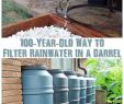 Wasserspeicher Garten Elegant 100 Year Old Way to Filter Rainwater In A Barrel if You