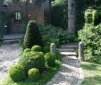 Wasserspender Garten Neu Gartengestaltung Mit Findlingen — Temobardz Home Blog