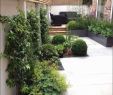 Wasserspiel Garten Modern Genial Kiesgarten Anlegen Ideen — Temobardz Home Blog