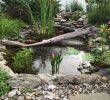 Wasserspiel Garten Modern Inspirierend Die 293 Besten Bilder Von Garten Teich Und Wasserfälle