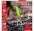 Wassertank Garten Unterirdisch Reizend Iz Online 1013 by Die Inselzeitung Mallorca Online issuu