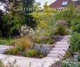 Weihenstephan Garten Inspirierend Die 91 Besten Bilder Von Büro Renate Waas Gartendesign