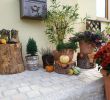 Weihnachtsdeko Garten Inspirierend Weihnachtsdeko Ideen Für Aussen — Temobardz Home Blog