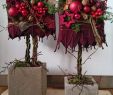 Weihnachtsdeko Garten Luxus Pin Von Oksana Herych Auf Christmas Deco