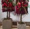 Weihnachtsdeko Garten Luxus Pin Von Oksana Herych Auf Christmas Deco