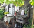 Weinkisten Deko Garten Das Beste Von Vintage Garten