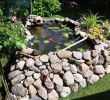 Whirlpool Für Den Garten Einzigartig Gartengestaltung Kleine Gärten — Temobardz Home Blog