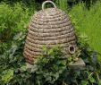 Wildbienen Im Garten Elegant Perfect Spot In the Garden I Bought One Of these at A