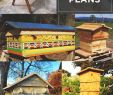 Wildbienen Im Garten Genial 38 Free Diy Bee Hive Plans that Will Inspire You to Be E A