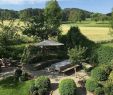 Wildbienen Im Garten Luxus Gefällt 772 Mal 34 Kommentare Ein Schweizer Garten