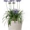 Www Wohnen Und Garten De Luxus Blumenkübel Ilford Silbergrau 20cm